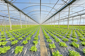 Ma-Cabane - Vente Divers BOMPAS, 18000 m²