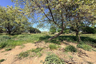 Ma-Cabane - Vente Divers CASTELNOU, 0 m²