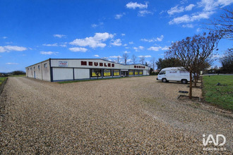 Vente Divers 79110, Chef-Boutonne France