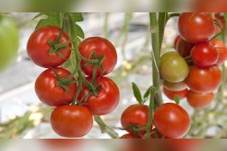 Ma-Cabane - Vente Divers GRANVILLE, 1 m²