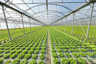 Ma-Cabane - Vente Divers VILLELONGUE-DE-LA-SALANQUE, 31000 m²