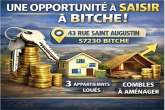 Vente Immeuble 57230, BITCHE France