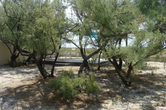 Ma-Cabane - Vente Immeuble FRONTIGNAN, 264 m²