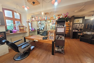 Ma-Cabane - Vente Immeuble Ribeauville, 257 m²