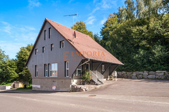 Ma-Cabane - Vente Immeuble Seppois-le-Haut, 180 m²