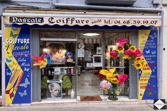Vente Local commercial 66110, Amélie-les-Bains-Palalda France