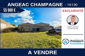 Vente Local commercial 16130, Angeac-champagne France