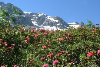 Ma-Cabane - Vente Local commercial CHAMONIX-MONT-BLANC, 100 m²