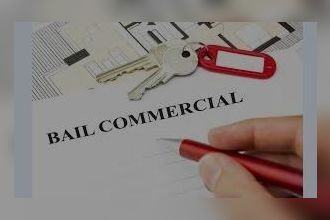 Vente Local commercial 85220, Coëx France