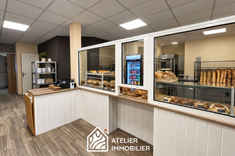 Ma-Cabane - Vente Local commercial FREISTROFF, 400 m²