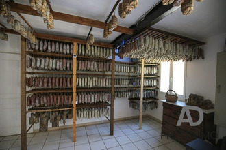 Ma-Cabane - Vente Local commercial Luri, 149 m²