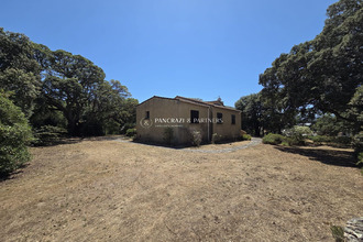 Ma-Cabane - Vente Local commercial Sarrola-Carcopino, 190 m²