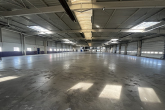 Ma-Cabane - Vente Local commercial Souffelweyersheim, 2994 m²