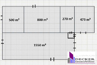 Ma-Cabane - Vente Local commercial Steinbourg, 4000 m²