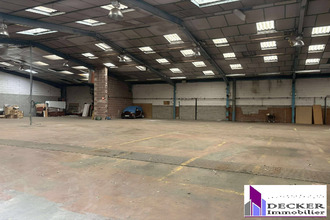 Ma-Cabane - Vente Local commercial Steinbourg, 4000 m²