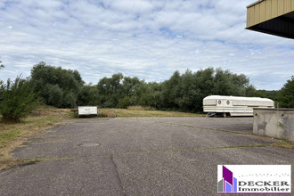 Ma-Cabane - Vente Local commercial Steinbourg, 4000 m²