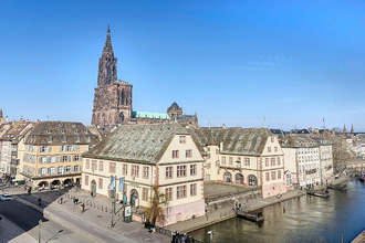 Ma-Cabane - Vente Local commercial Strasbourg, 348 m²