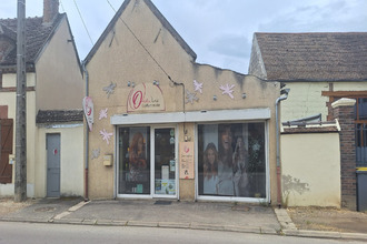 Vente Local commercial 89260, Thorigny-sur-Oreuse France