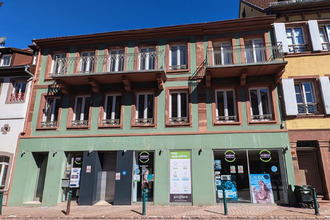 Ma-Cabane - Vente Local commercial Wasselonne, 164 m²