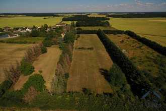 Ma-Cabane - Vente Maison Égreville, 300 m²