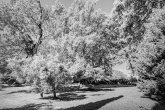 Vente Maison 13200, Arles France