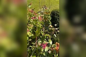 Ma-Cabane - Vente Maison AUDRESSELLES, 95 m²