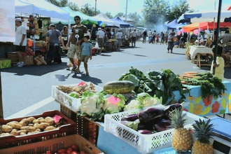 Ma-Cabane - Vente Maison AVIRONS, 110 m²