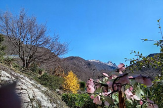 Ma-Cabane - Vente Maison AX-LES-THERMES, 129 m²