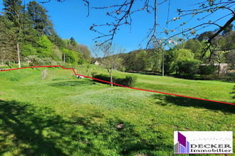 Ma-Cabane - Vente Maison Baerenthal, 239 m²