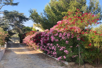 Ma-Cabane - Vente Maison Bandol, 180 m²