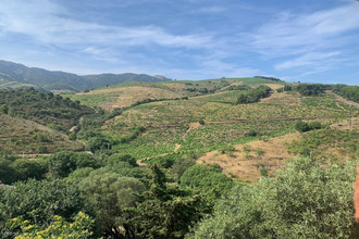 Ma-Cabane - Vente Maison Banyuls-sur-Mer, 96 m²