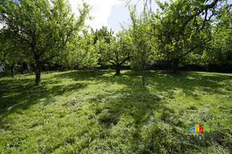 Ma-Cabane - Vente Maison Barr, 130 m²