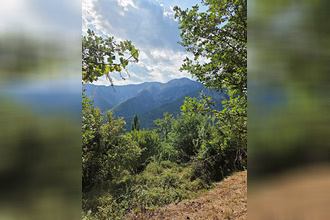 Ma-Cabane - Vente Maison Belvédère, 113 m²