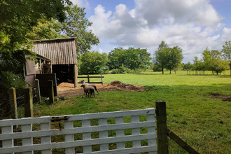 Ma-Cabane - Vente Maison Bois-de-Céné, 115 m²