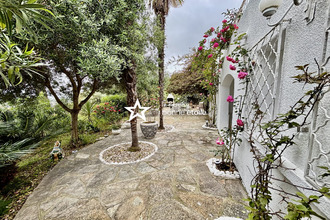 Ma-Cabane - Vente Maison Borgo, 250 m²