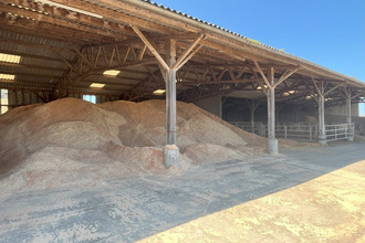 Ma-Cabane - Vente Maison Bricqueville, 118 m²