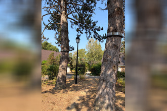 Ma-Cabane - Vente Maison BUC, 0 m²
