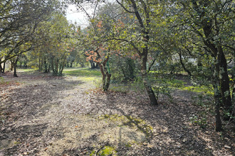 Ma-Cabane - Vente Maison Cabrières-d'Avignon, 270 m²