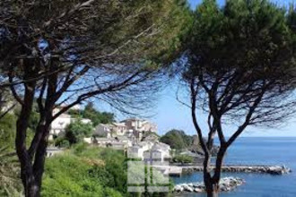 Ma-Cabane - Vente Maison Cagnano, 235 m²