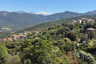 Ma-Cabane - Vente Maison Calcatoggio, 180 m²