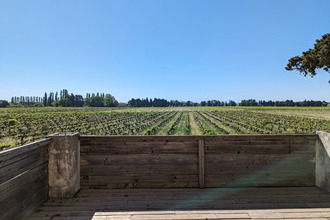 Ma-Cabane - Vente Maison Camaret-sur-Aigues, 250 m²