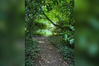 Ma-Cabane - Vente Maison PLUVIGNER, 236 m²