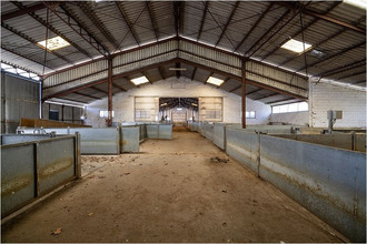 Ma-Cabane - Vente Maison CARBONNE, 294 m²