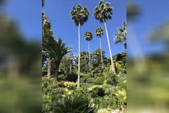 Ma-Cabane - Vente Maison Carqueiranne, 360 m²