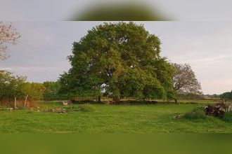 Ma-Cabane - Vente Maison Chenay, 190 m²