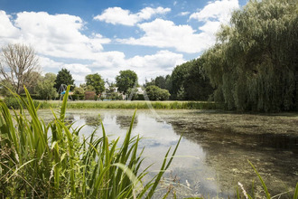 Ma-Cabane - Vente Maison CHEVERNY, 221 m²