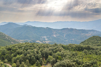 Ma-Cabane - Vente Maison Cognocoli-Monticchi, 135 m²