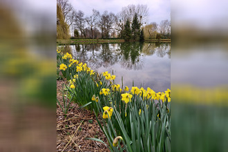Ma-Cabane - Vente Maison COMBOURG, 173 m²