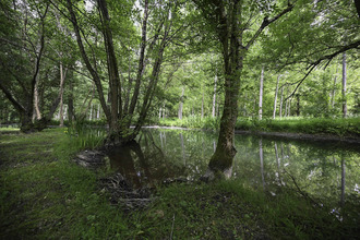 Vente Maison 17400, Courcelles France