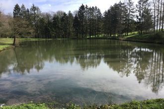 Ma-Cabane - Vente Maison COUSOLRE, 407 m²